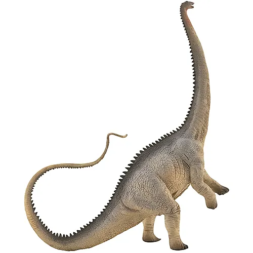 CollectA Prehistoric World Diplodocus Grau