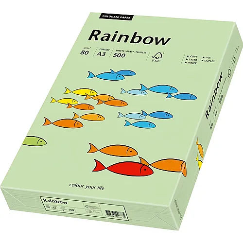 Rainbow Kopierpapier 80 g/m�, 500 Stk