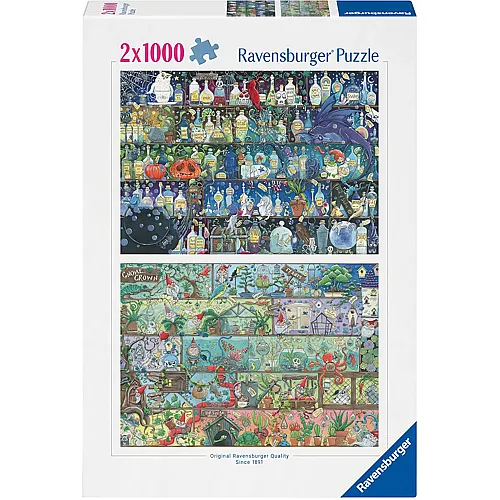 2in1 Zoe Sadler: Magische Regale 1000Teile