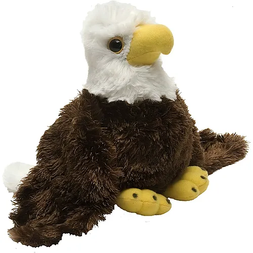 Weikopfseeadler - 18 cm