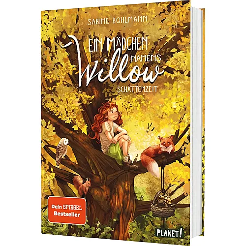 Ein M�dchen namens Willow 5: Schattenzeit
