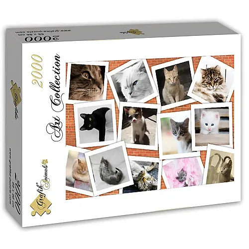 Grafika Puzzle Art Collection Katzenfotos - 2000 Teile
