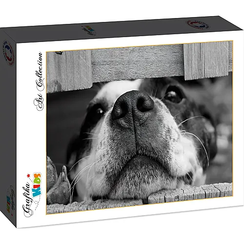 Grafika Puzzle Art Collection Grafika Kids Hund - 204 Teile
