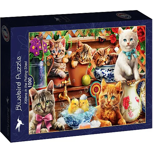 Kittens in the Potting Shed 1000Teile