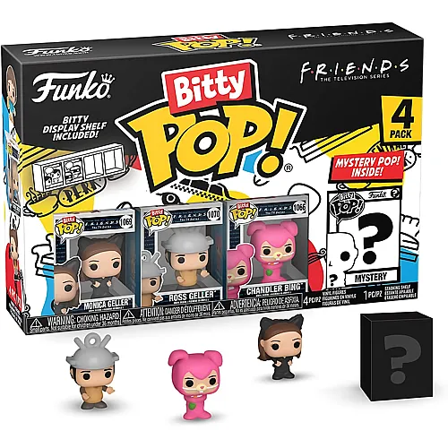 Monica Geller, Ross Geller, Chandler Bing und Mystery 4Teile