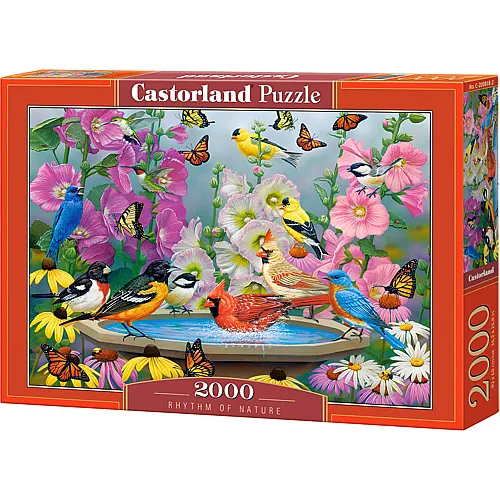 Castorland Puzzle Rhythm of Nature - 2000 Teile