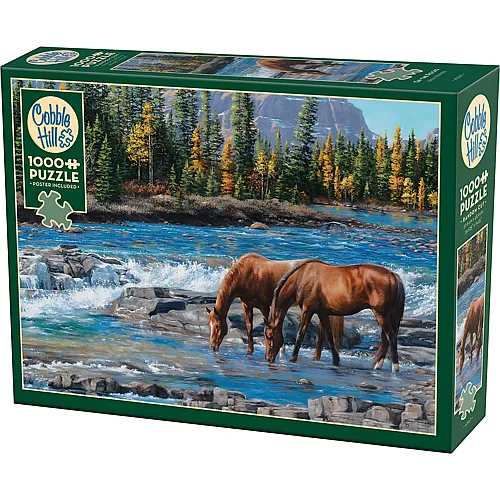 Pferde im Wildwasser 1000Teile