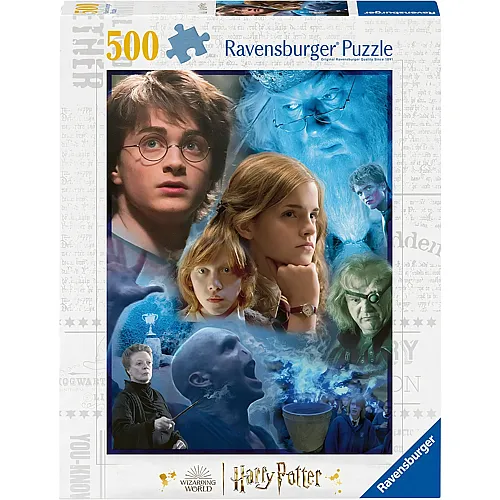 Harry Potter in Hogwarts 500Teile