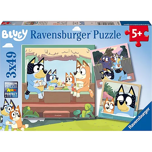 3in1 Bluey Adventures 49Teile