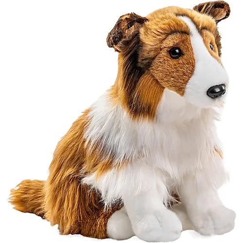 Langhaarcollie sitzend 27cm