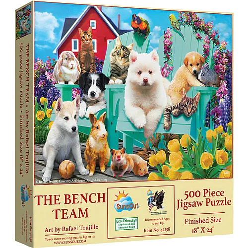 The Bench Team 500Teile