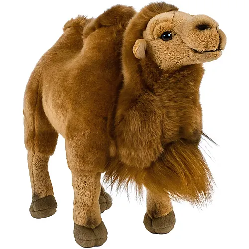 Camel - 30 cm