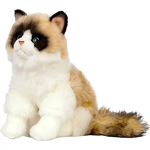 Ragdoll Katze 25cm