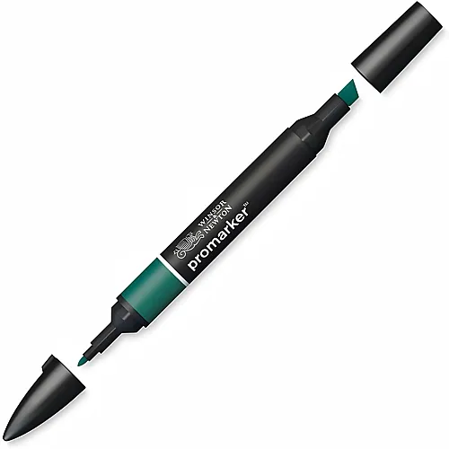 Winsor & Newton Promarker Stift mit 2 Spitzen Stechpalme