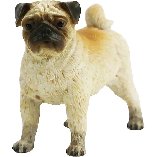 Mops