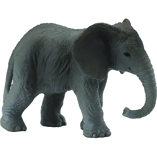 CollectA Wild Life Africa Afrikanisches Elefantenkalb
