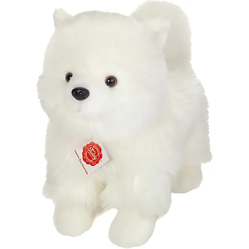 Teddy-Hermann Zwergspitz stehend Weiss - 35 cm