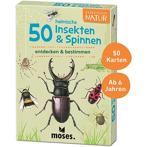 Moses 50 heimische Insekten und Spinnen