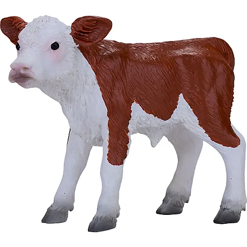 Mojo Farmland Hereford Kalb