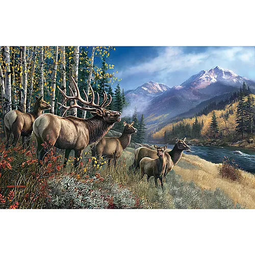 SunsOut Puzzle James Meger Elk Anthem - 1000 Teile