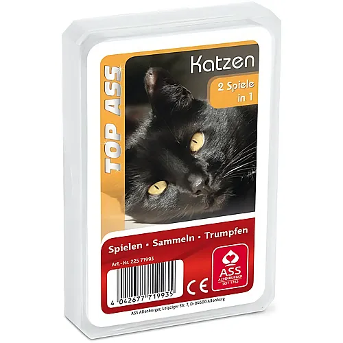 Quartett Katzen