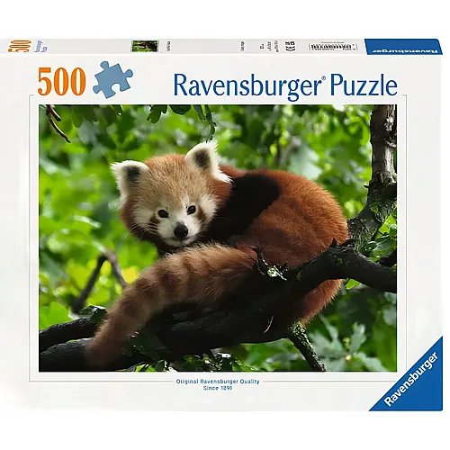 Ravensburger Puzzle S�sser roter Panda (500Teile)