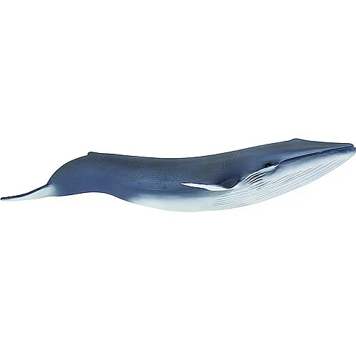 Safari Ltd. Sea Life Blauwal