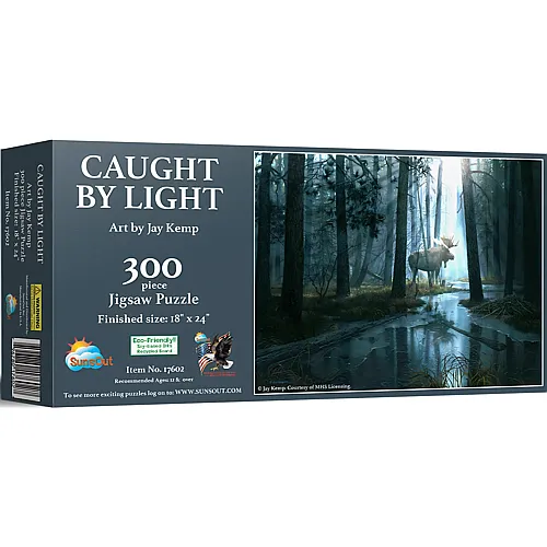 Vom Licht gefangen 300Teile