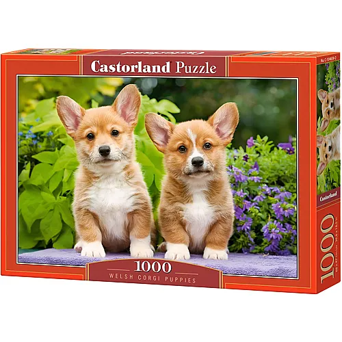 Castorland Puzzle Welsh Corgi Puppies (1000Teile)