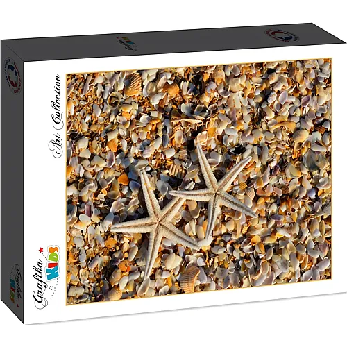 Grafika Puzzle Art Collection Grafika Kids Shells and Starfish - 104 Teile