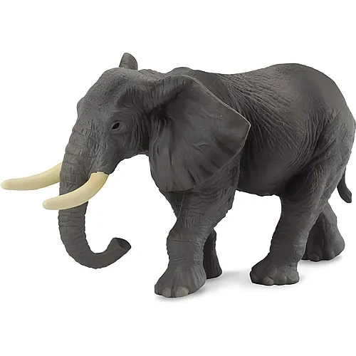 Afrikanischer Elefant