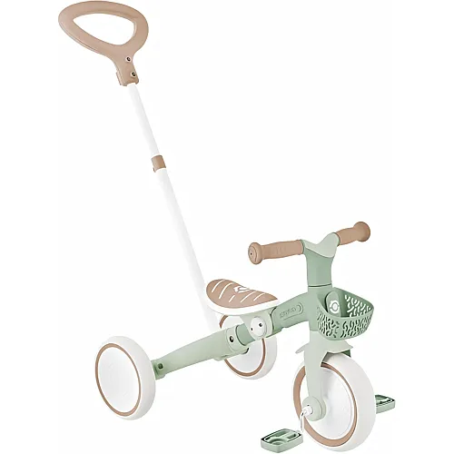 Globber Learning Bike 3 IN 1 Plus Ecologic Pistachio
