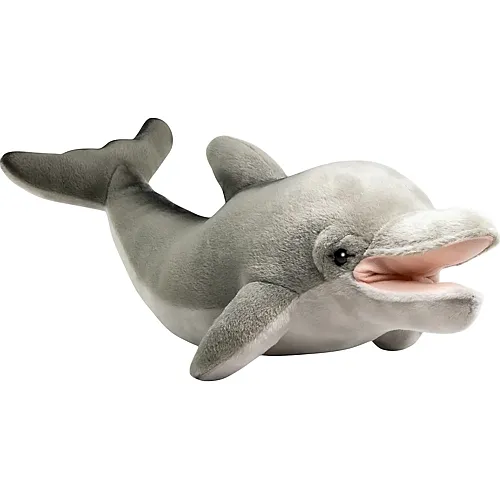 Dauphin - 40 cm
