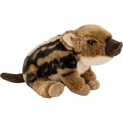 Carl Dick Wildschwein Baby sitzend - 20 cm
