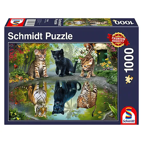 Schmidt Puzzle Dream Big! (1000Teile)