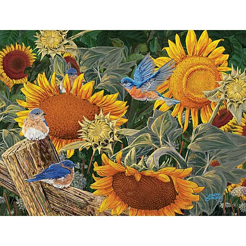 SunsOut Puzzle Joseph Burgess Sonnenblumenbeet - 300 Teile