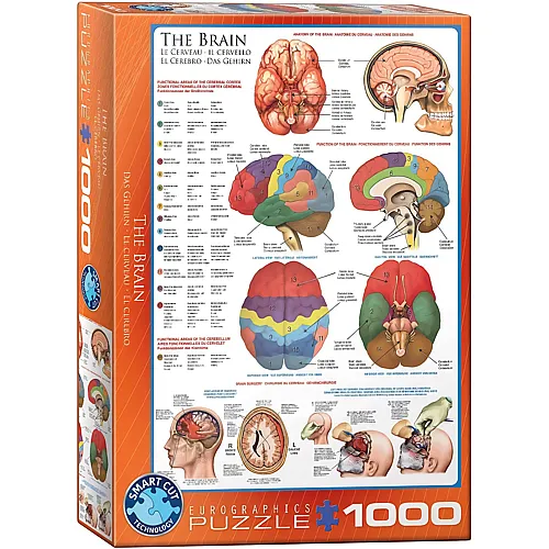 Eurographics Puzzle Das menschliche Gehirn (1000Teile)