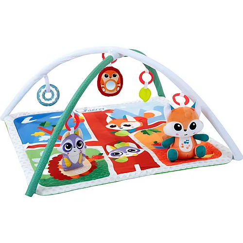 Chicco Relax & Play Gym Magic Forest