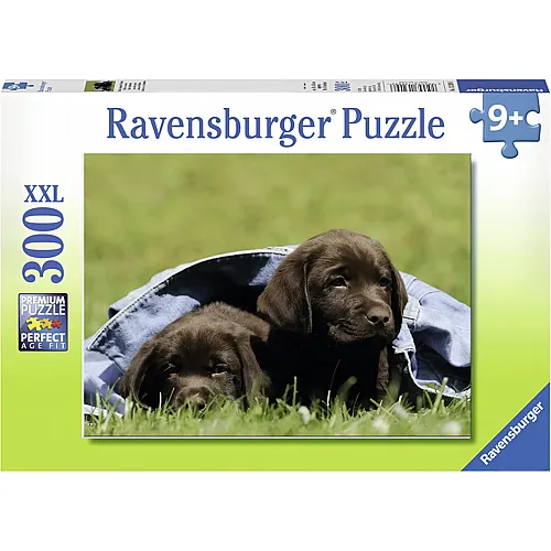 Ravensburger Puzzle 300 Teile XXL Teile - Labradorwelpe