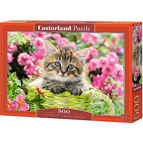 Castorland Puzzle Kitten in Flower Garden (500Teile)