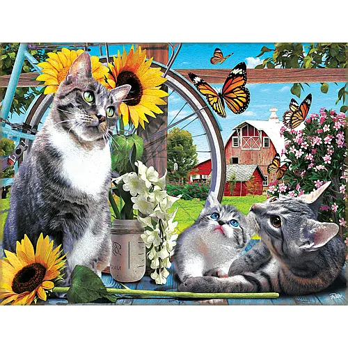 SunsOut Puzzle Out of Reach - 300 Teile