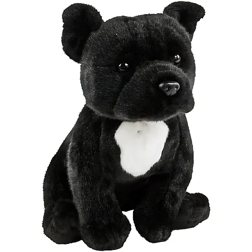 Pitbull / American Staffordshire Terrier - 30 cm