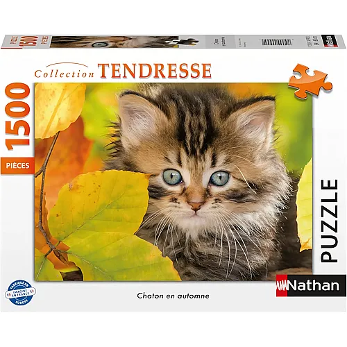 K�tzchen im Laub 1500Teile