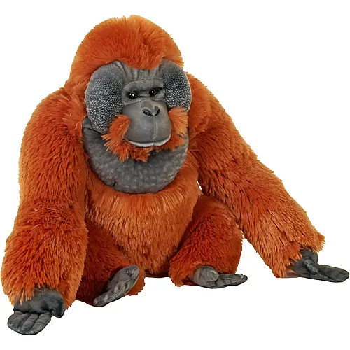 Wild Republic Orang-Utan M�nnchen - 38 cm