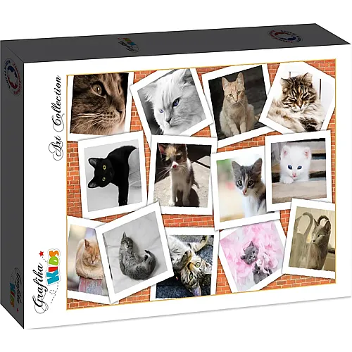 Grafika Puzzle Art Collection Grafika Kids Katzen - 204 Teile