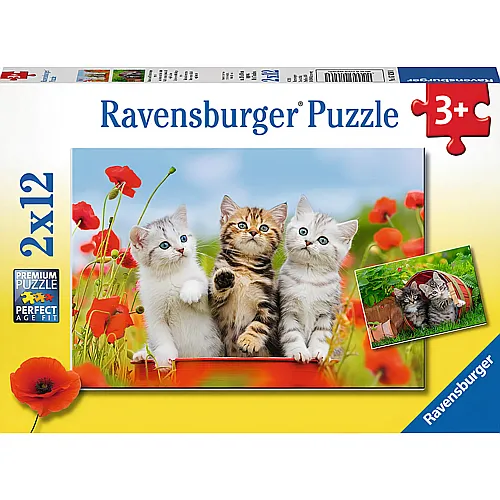 Ravensburger Puzzle Katzen auf Entdeckungsreise (2x12)