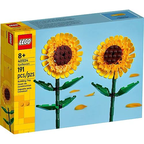 Sonnenblumen 40524