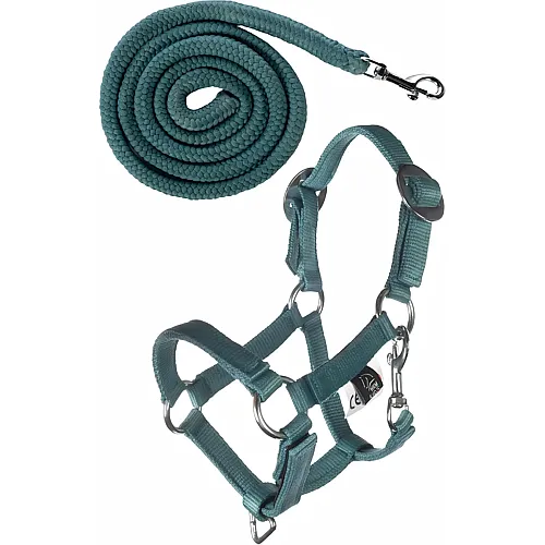 Basic Halfter und Strick T�rkis