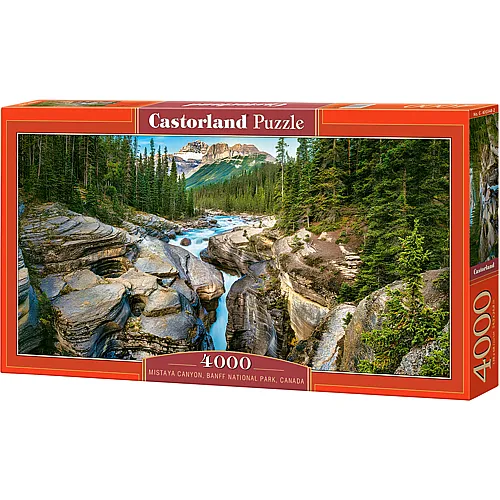 Mistaya Canyon, Banff National Park, Canada 4000Teile