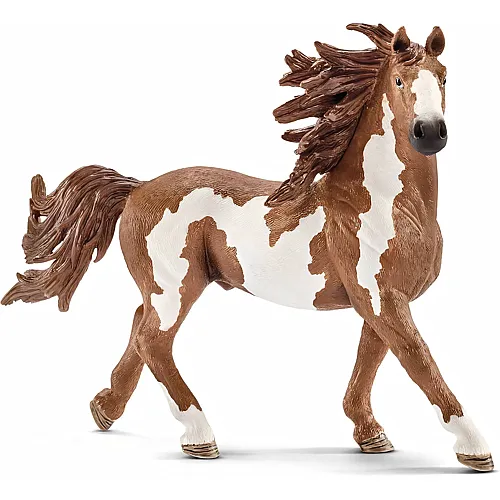 Schleich Horse Club Pinto Hengst
